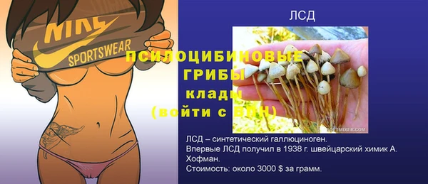 СК Волосово