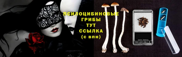 СК Волосово