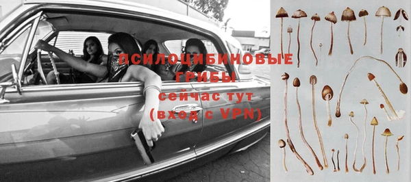 прущая мука Верея