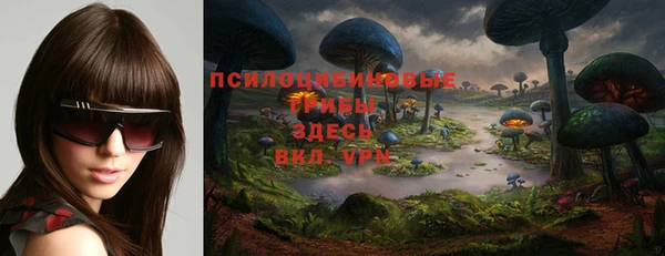 прущая мука Верея