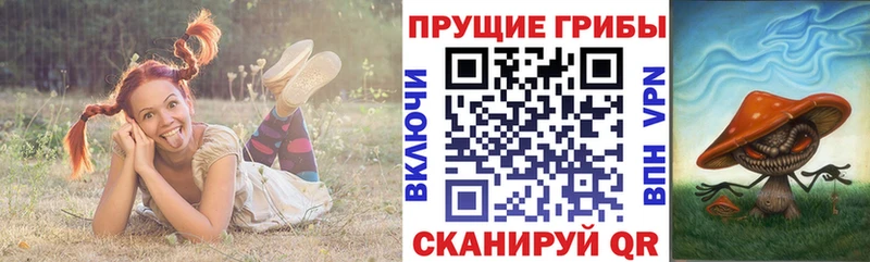 как найти закладки  Старый Крым  Галлюциногенные грибы Psilocybe 